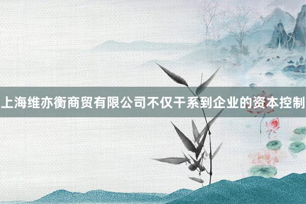 上海维亦衡商贸有限公司不仅干系到企业的资本控制
